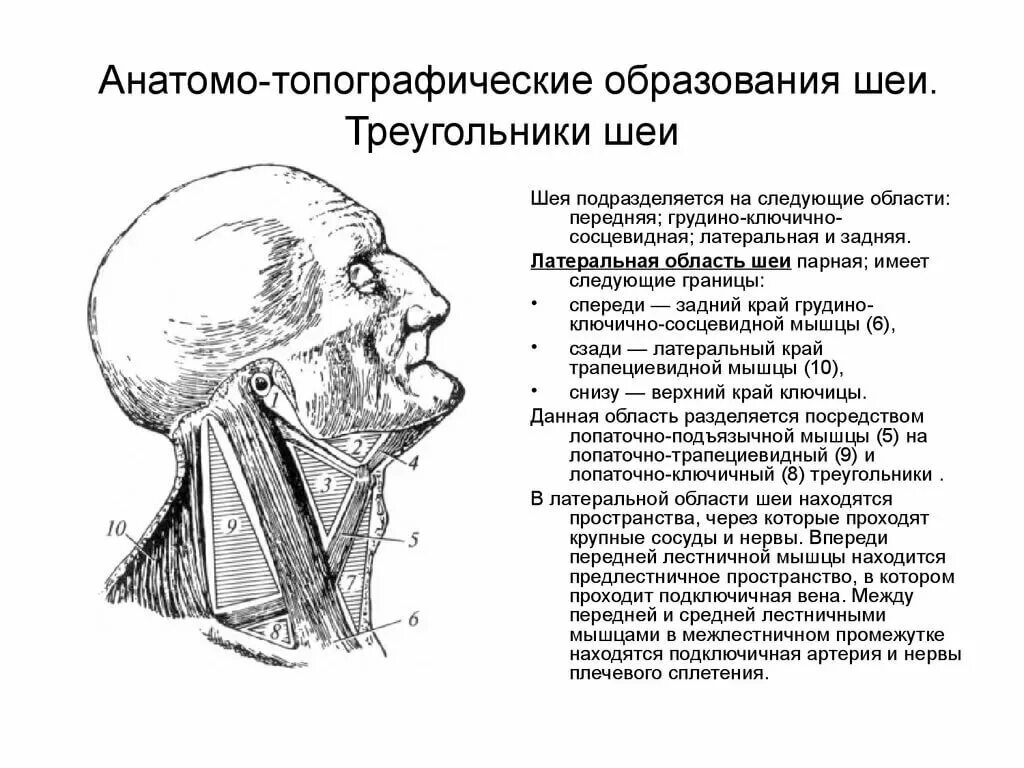 Предлестничное пространство