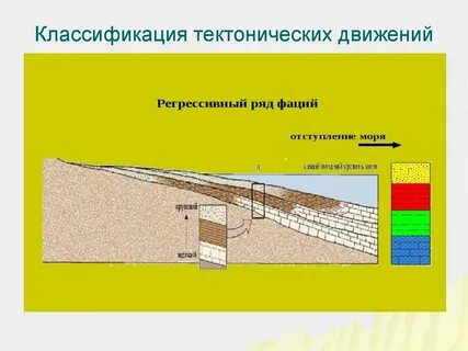 Определите вид тектонического движения