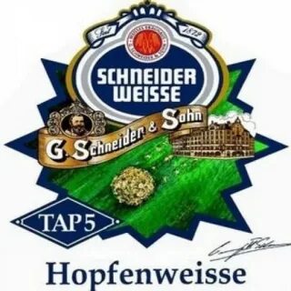 Schneider 5