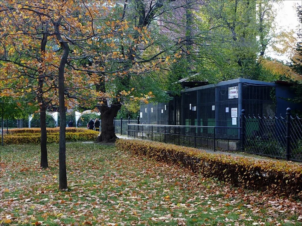 Сцена в хамовниках. Парк усадьба Трубецких в Хамовниках. Парк Мандельштама в Хамовниках. Аллея Трубецких. Усадьба Трубецких баскетбольная площадка.