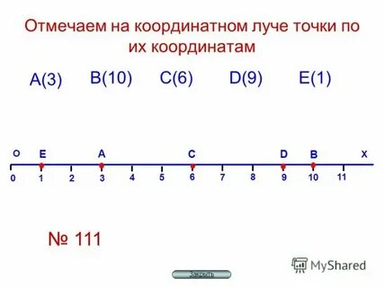 Координаты прямые 5 класс