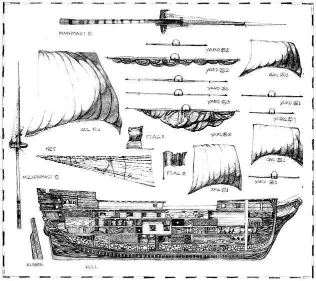 Anatomy ships