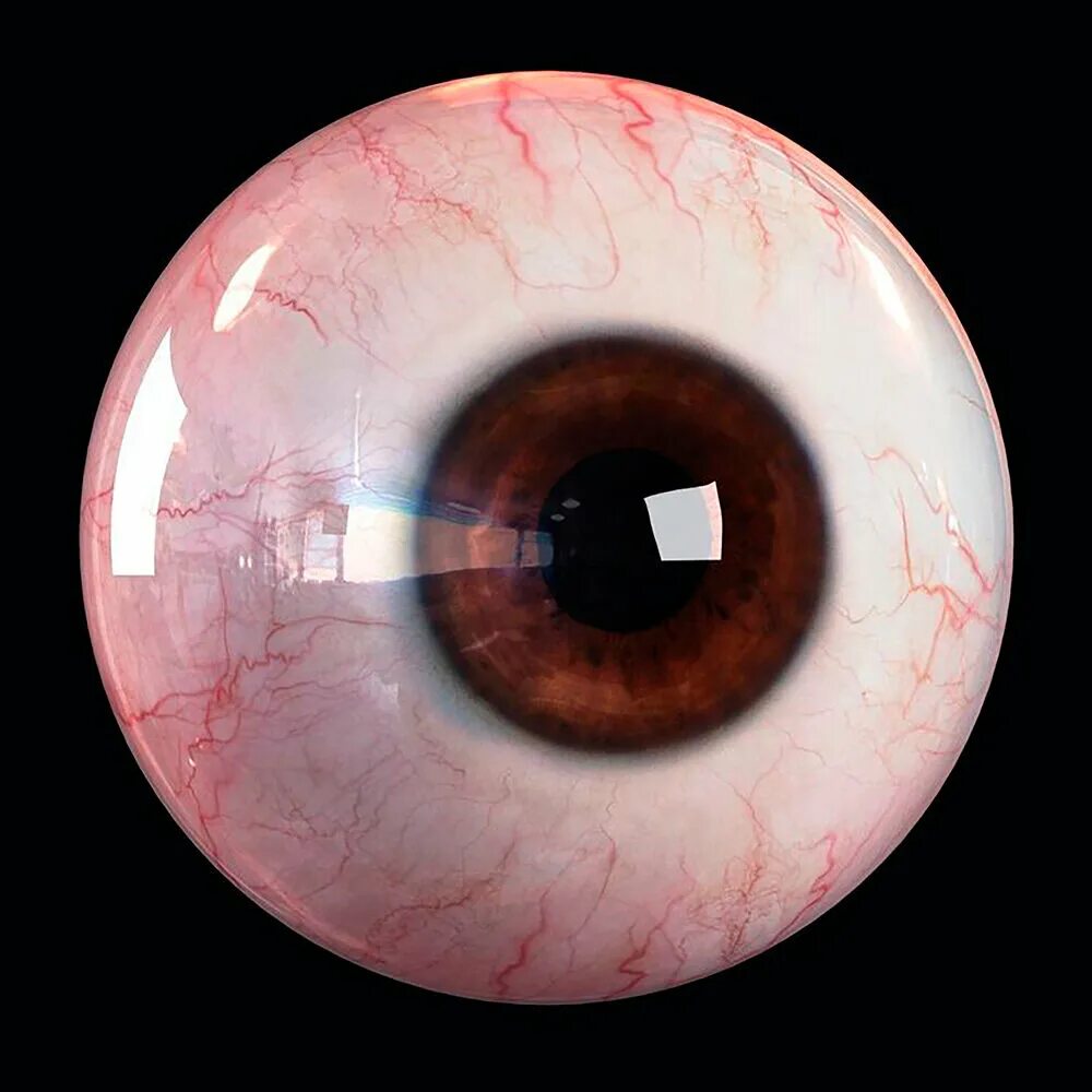 Pin by JustYourLips on Gateway To The Soul Photos of eyes, Eyes, Eye shapes