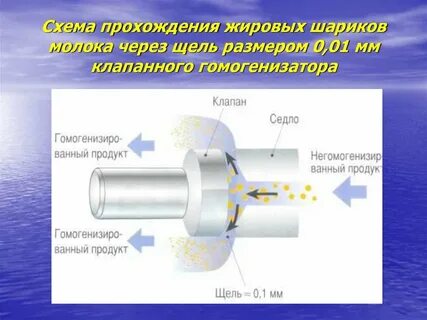 Размер жировых шариков