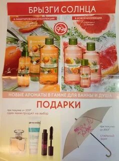Листовка ив роше январь 2024