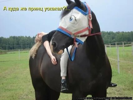 Я смогу лошадь