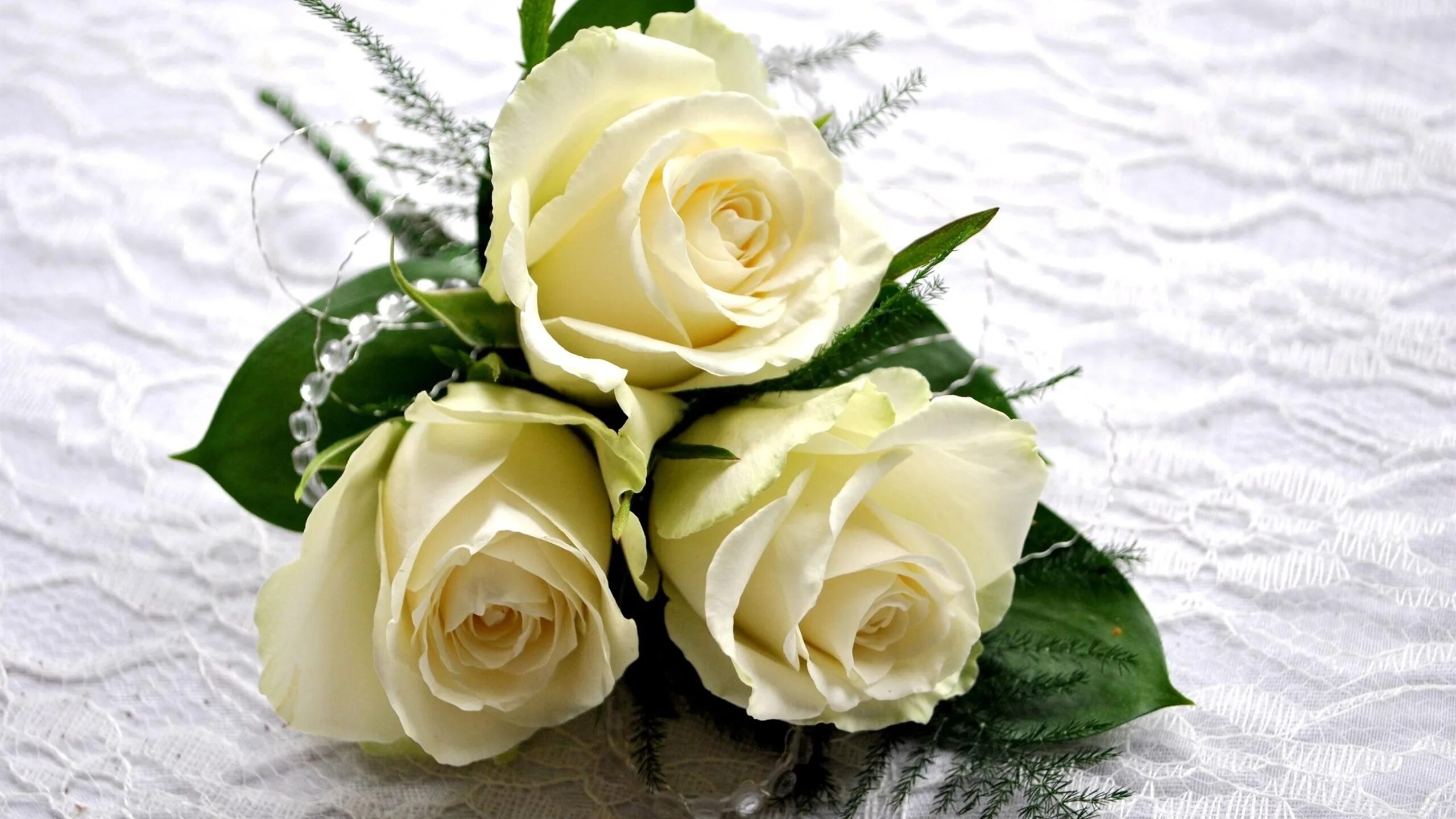 Розы 3 цветка. Белые розы. Цветы белые розы. Открытки с белыми розами. Красивые белые розы.