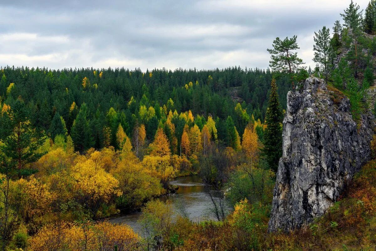 полярный урал северный урал средний урал. северный уральский. северный урал лес. уральские горы ивдель. горная тайга северного урала.