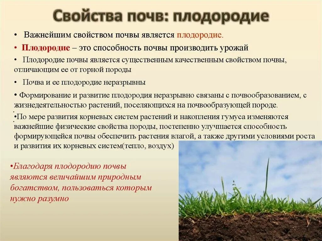 Укажите причины изменения естественного. Характеристика плодородной почвы. Снижение плодородия почв. Оценка плодородия почв. Меры по сохранению почв.