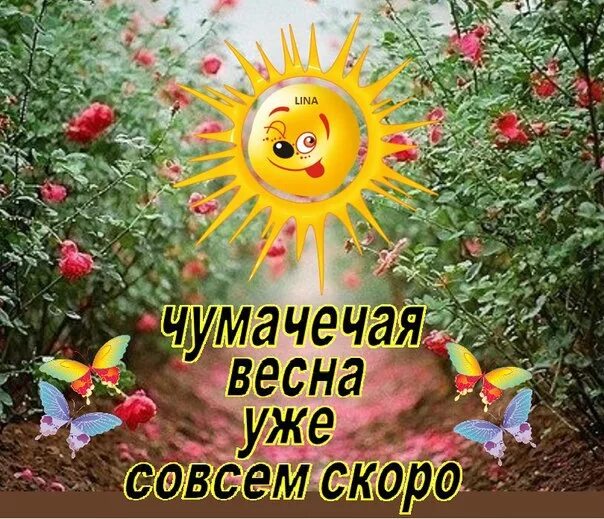 Совсем не весенним