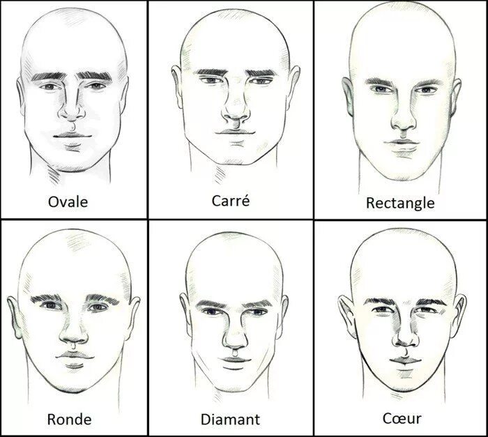 Формы голов у мужчин. Формы лица у мужчин. Типы мужских лиц. Формы головы у мужчин. Овалы лица мужские.