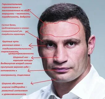 Авторами указаны лица которые