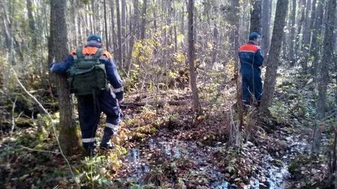 Помог выйти из леса