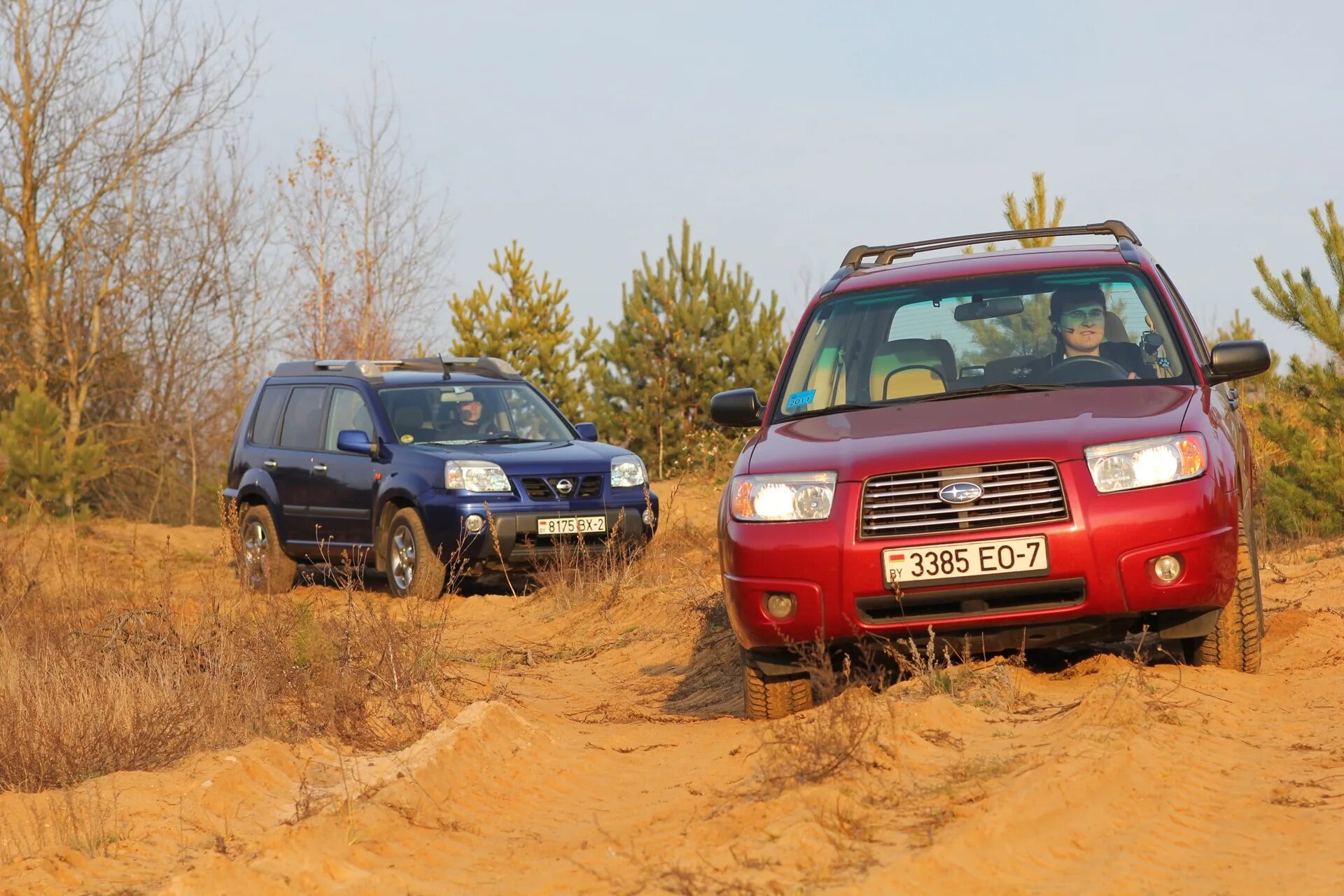 Nissan x-Trail 2005. X Trail и Forester. Subaru Forester sh off Road. Субару Форестер 2005.