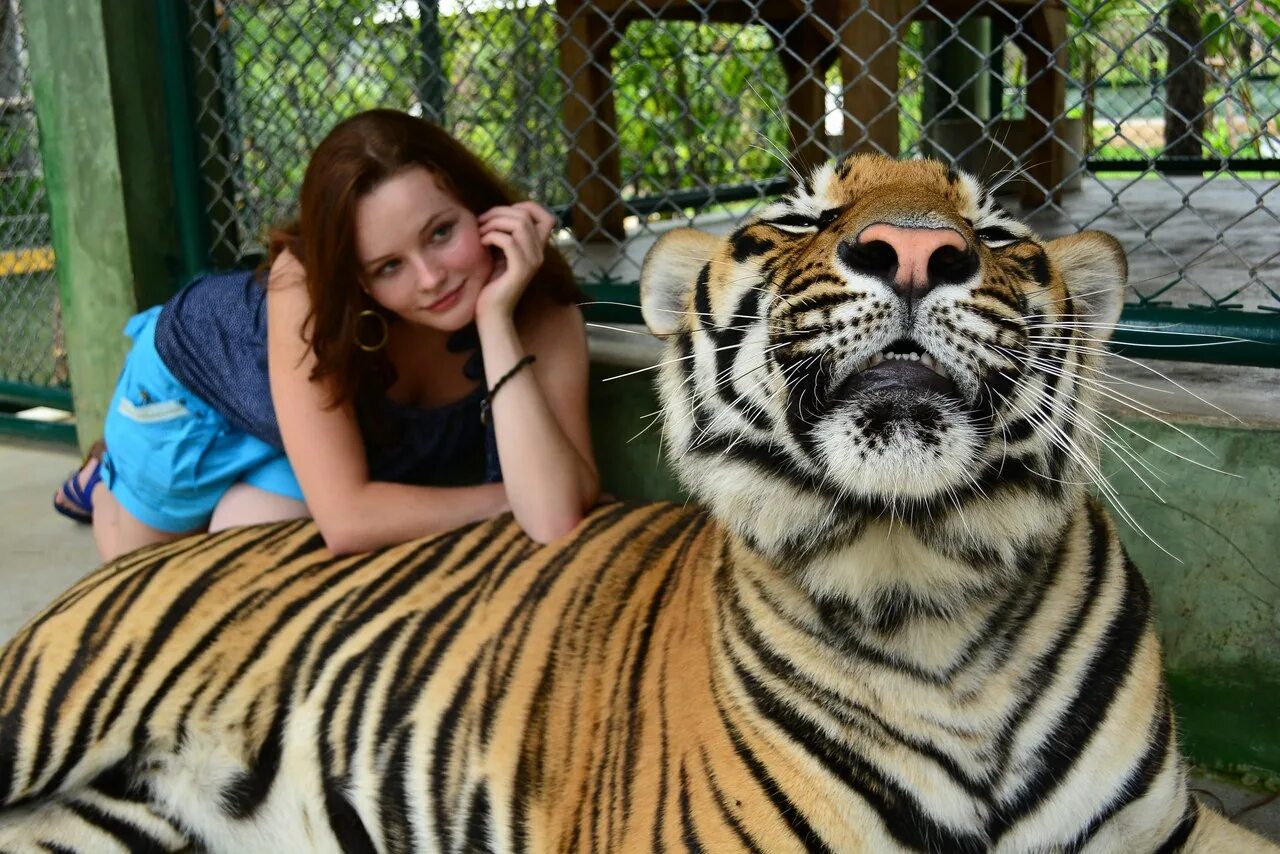 Хозяин собаки. Ласка собака. Собака напрокат. Фотосессия с собакой. Фотосессия семейная зенненхундом.