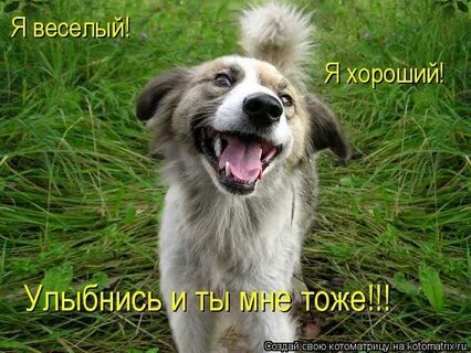 Том я веселый