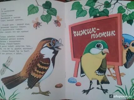 Птица школа читать