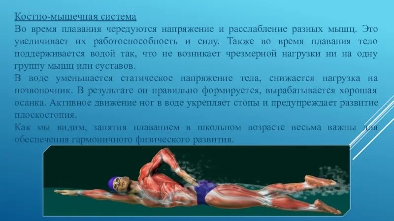 Мышцы при плавании. Плавание мышцы. влияние плавания на опорно-двигательный аппарат человека. воздействие плавания на мышцы.