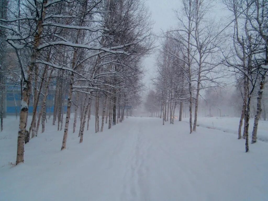 Выпал снег он мягкий