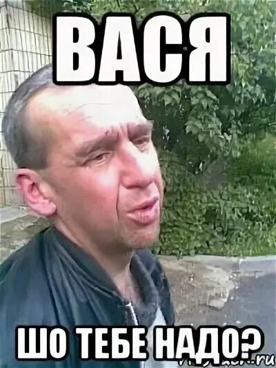 Песня шо ты маленький привет. Ыыыыыыыыыыыыыыыыыыыыыы. Песня шо ты маленький привет. Песня шо ты маленький привет. Песня шо ты маленький привет.