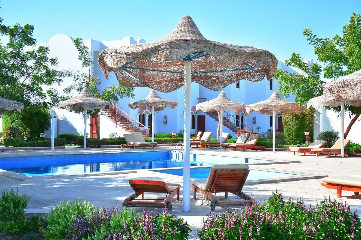 Египет шарм эль шейх вылет. Desert view sharm 3*. desert view hotel sharm 3 шарм эль шейх. бадавия шарм египет. badawia resort 3 египет.