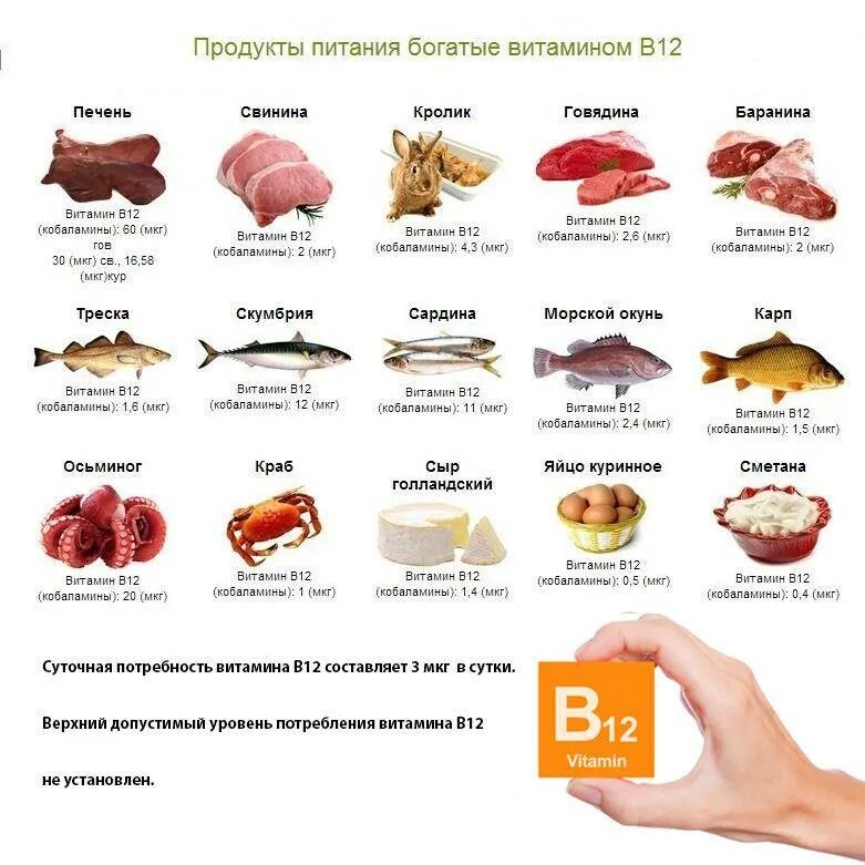 Где содержится мясо. Витамин б12 продукты содержащие витамин. продукты содержащие витамин в12 список продуктов таблица. продукты содержащие витамин в 12 в большом количестве таблица. витамин в12 где содержится в продуктах таблица.