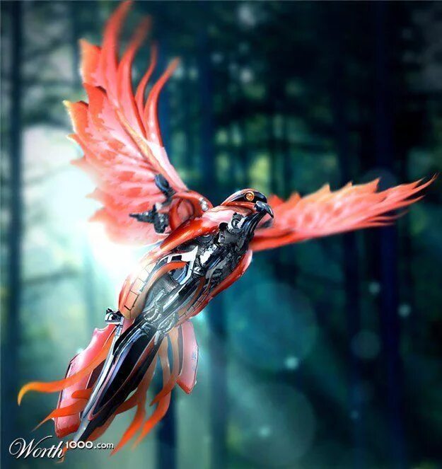 Мир роботов выставка. Необычные птицы арт. Выставка робототехники. Птица в стиле фэнтези. Роботы в жар птице.