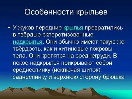 Особенности крыльев
