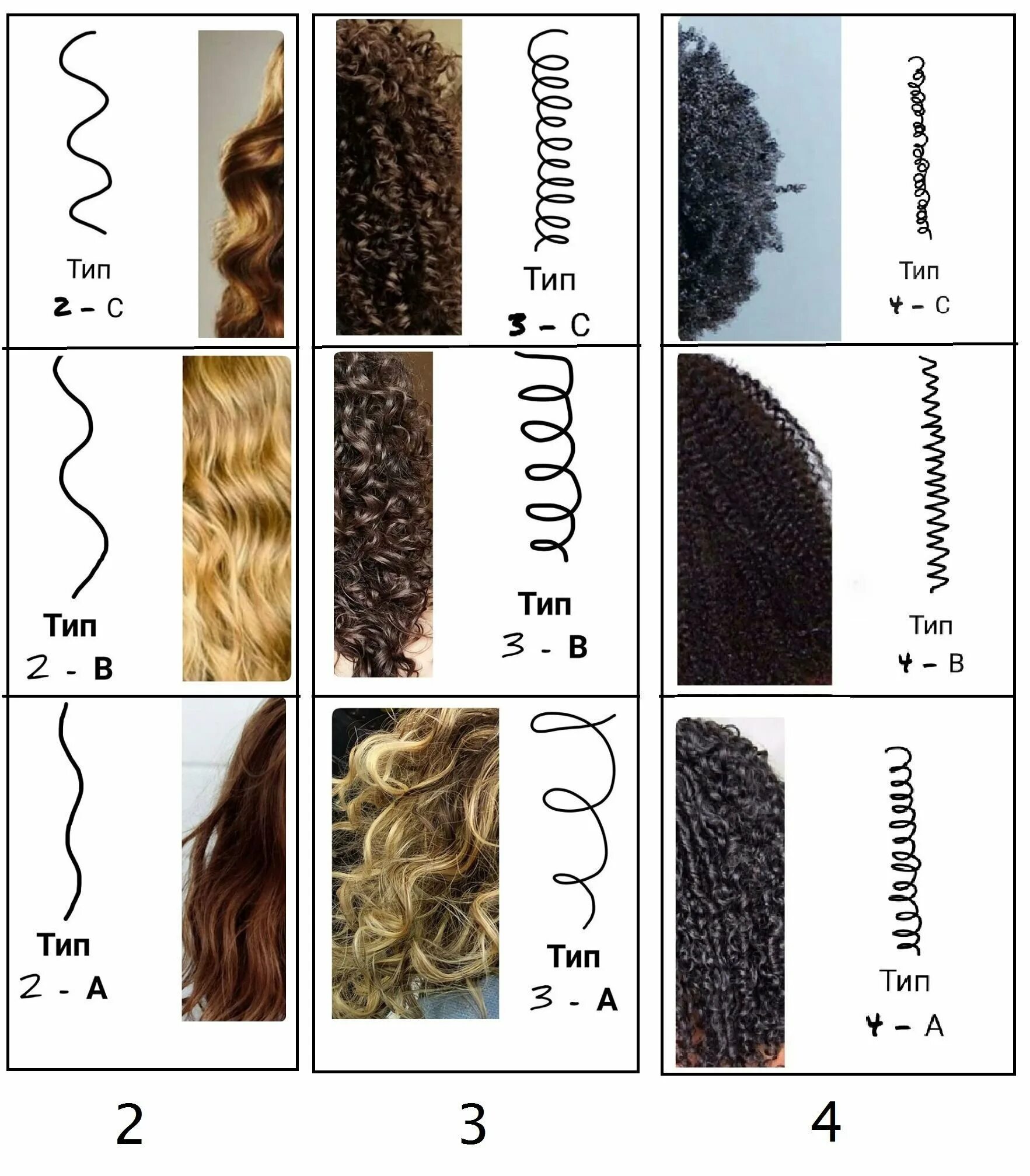 Различия волос. Тип кудрей 3b. Типы завитка кудрявых волос. Типы кудрей 2а. Классификация кудрей 2с.