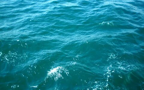 Морская вода колена