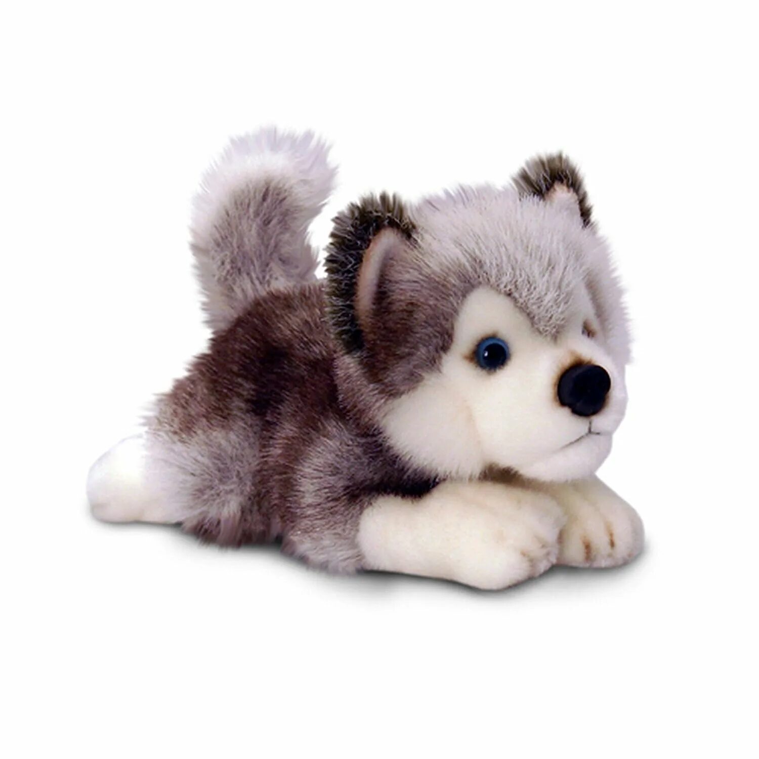 Игрушка хаски купить. Plush Toys игрушки хаски. Storm Husky keel Toys. Keel Toys мягкие игрушки собаки. Keel Toys Monty щенок.