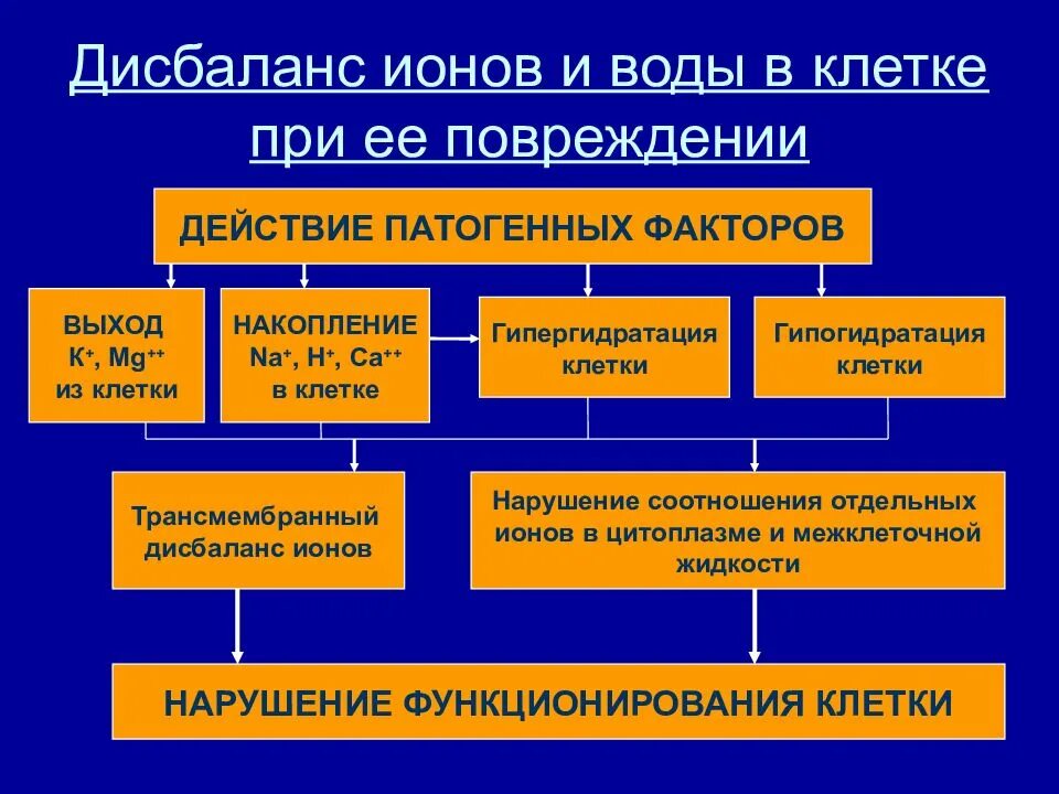 Фактор дисбаланса. Механизм и последствия ионного дисбаланса в клетках..