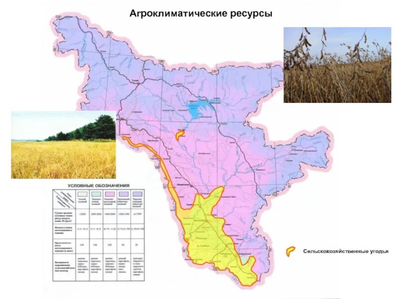 Социальная карта амурской области. Карта природных зон Амурской области. Сельское хозяйство Амурской области на карте. Хозяйство Амурской области карта. Климатическая карта Амурской области.