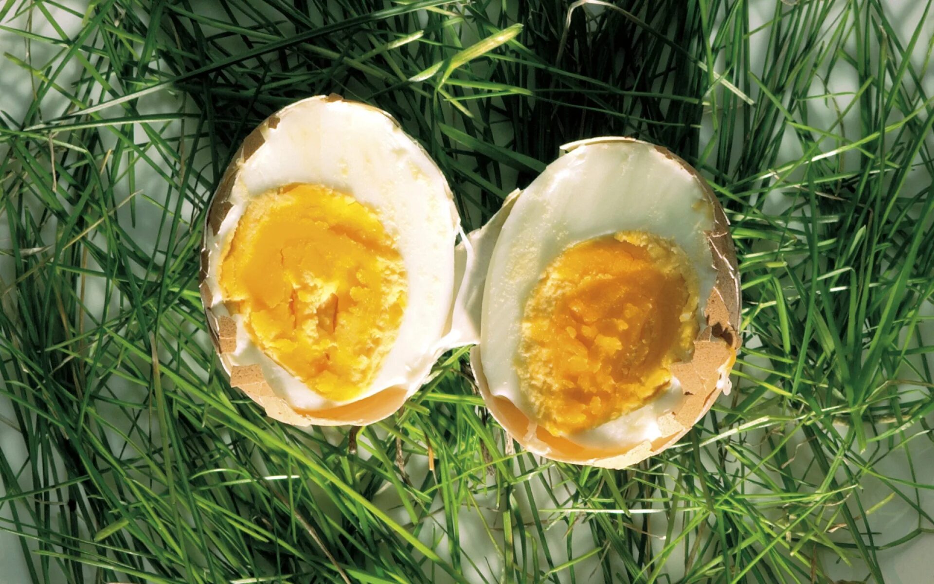 Зеленый желток. «Желток яйца», 1989. Яйцо куриное. Яйцо отварное. Растительные яйца.