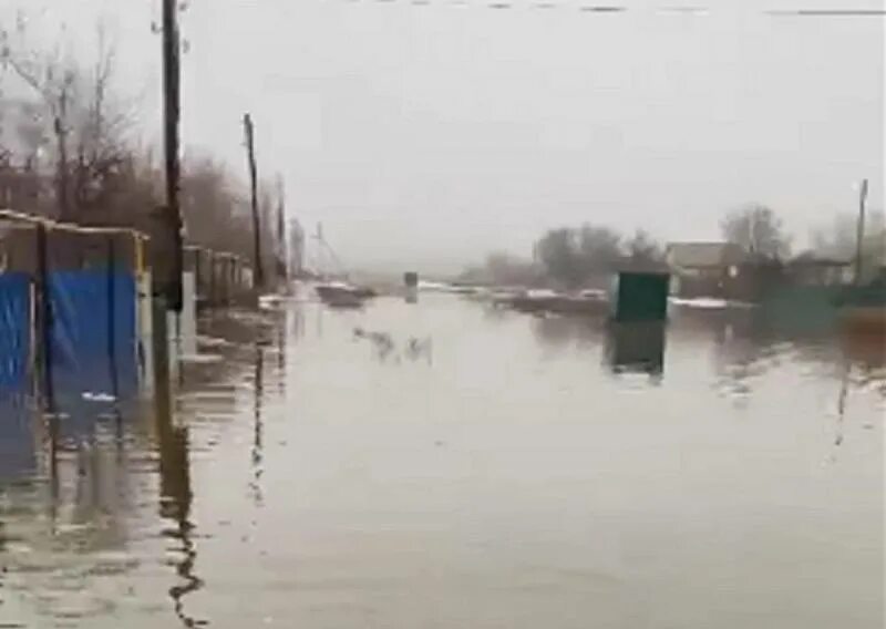 Паводок в бузулуке оренбургской области 2024. Половодье Шапошниково Первомайский район Оренбургская обл. Оренбург Первомайский район Шапошниково. Потоп Шапошниково Первомайский район. Наводнение фото.