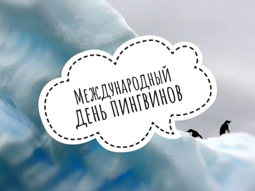 Какой праздник отмечают 25 апреля. Всемирный день пингвинов. 20 января праздник день пингвина. день пингвина 2025. всемирный день пингвинов 25 апреля.