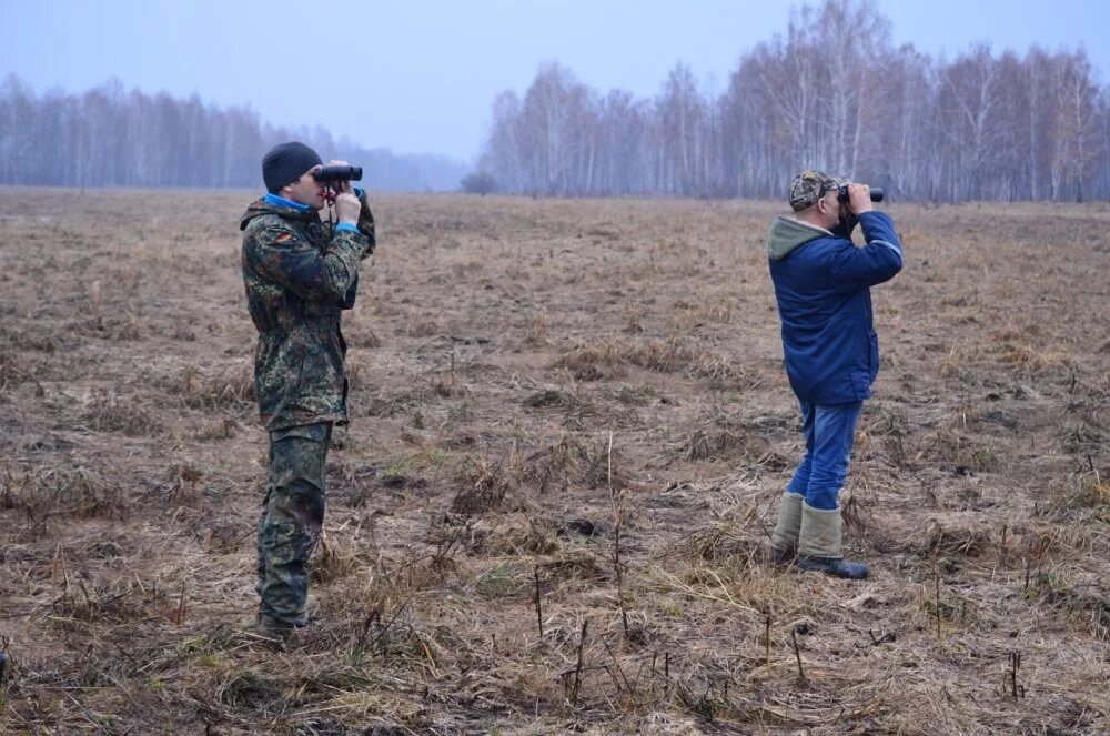 Рекогносцировки местности что это