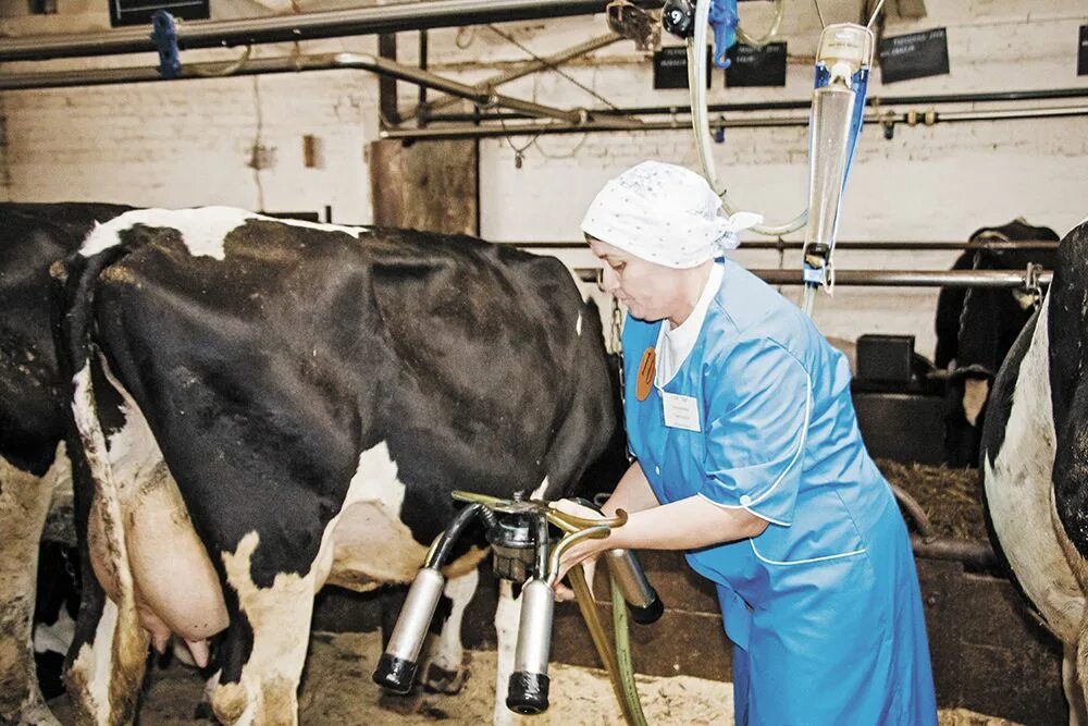 Спк 8. Маслозавод алтай родино. Подготовка к посевной. Сотовый поликарбонат премиум зеленый. Спк 8.