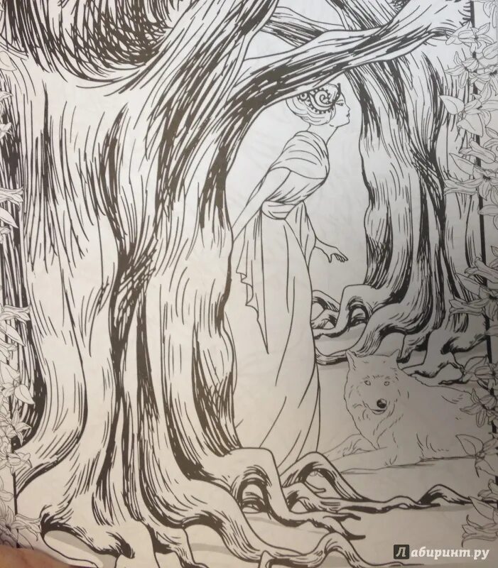Заколдованный лес раскраска. Иллюстрация заколдованный лес. Рисунки заколдованного леса. Заколдованный лес рисунок. Заколдованный рисунок