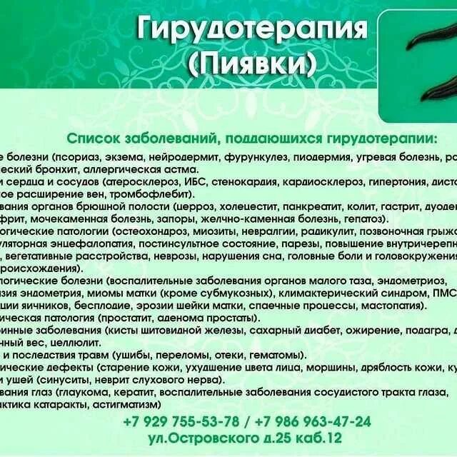 Гирудотерапия применение. Гирудотерапия противопоказания. Гирудотерапия терапевтический эффект.