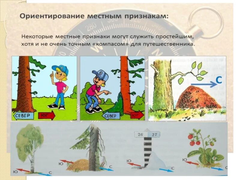 Признаков рисунок 5 2. Ориентирование попо местным признакам. Ориентирование по местности по местным признакам. Ориентирование по местным природным признакам. Способы ориентирования по местным признакам.
