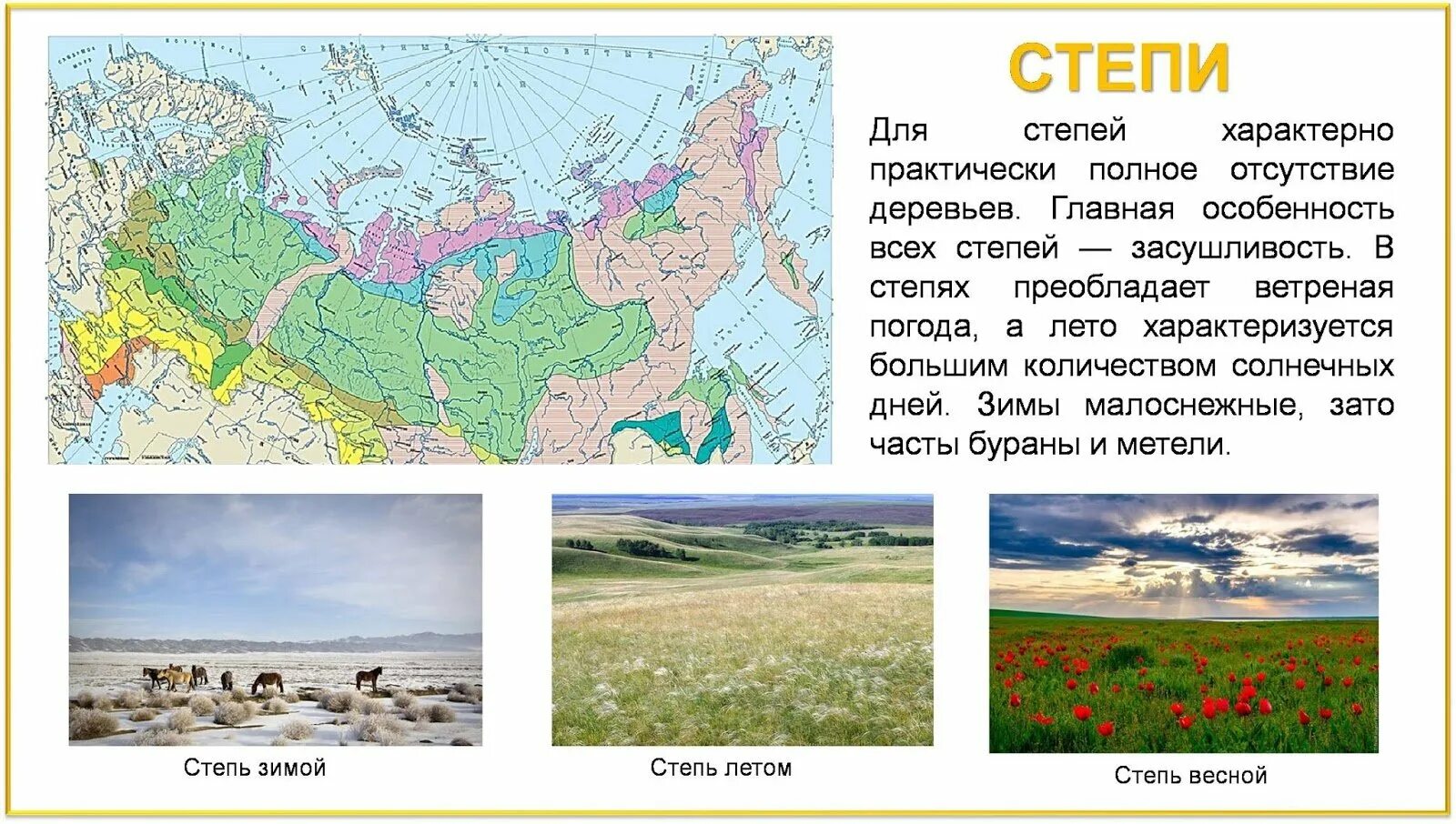 Степная зона расположена южнее зоны. Степи на карте россии природных зон. природные зоны россии степи и лесостепи. климат зоны степей в россии. карта лесов и степей россии.