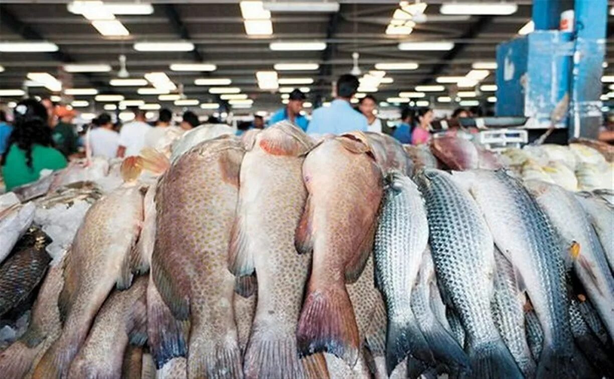 Мусульманские рыбы. Рыба на рынке. Оптовый рыбный рынок. Рыба в ассортименте. Дешевая рыба.