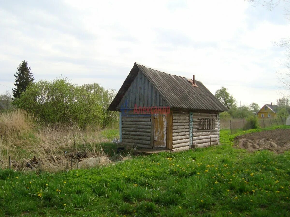 Деревня старая середка. Середка. Село середка. Середка псковская область фото. Серёдка псковская область.