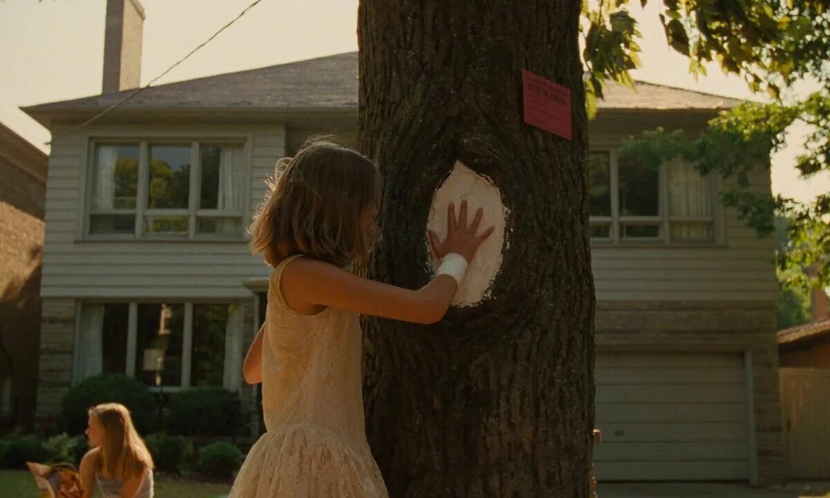 Круг девственниц. Круг девственниц. Девственница джейн джейн. Круг девственниц. Джина верджин.