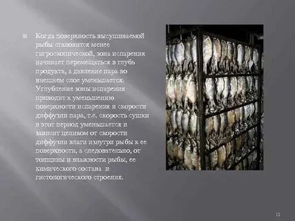 Сколько соли для сушки рыбы