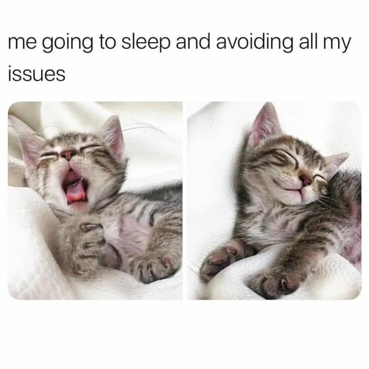 Are you go to sleep. Go sleep. it sounds like you problem meme.
