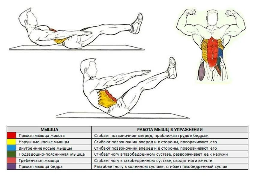 Склепка упражнение на пресс. Упражнения для пресса скручивание техника выполнения. Упражнения на развитие прямой мышцы живота. Мышцы пресса упражнения схема.