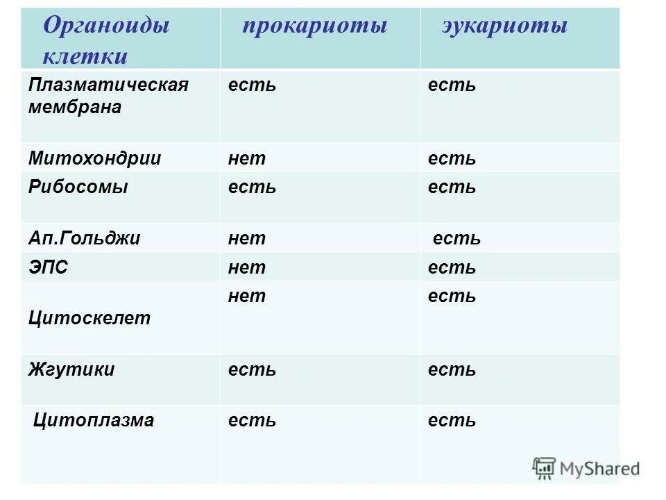 сравнение клеток прокариот и эукариот таблица. строение прокариотической и эукариотической клеток. органоиды клеток прокариот и эукариот. органоиды имеющиеся в прокариотах и эукариотах. какие органоиды встречаются в клетках прокариот.