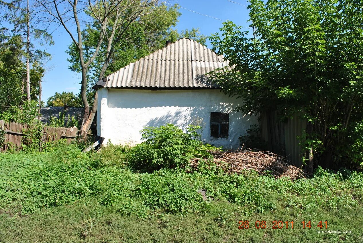 Деревня леженьки курская область. Курск курская область тимский. Курск курская область тимский. Репьевка курская область тимский. Репьевка курская область тимский.